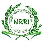 ICAR-NRRI Recruitment 2022 - Jobs For Latest Young Professional Posts